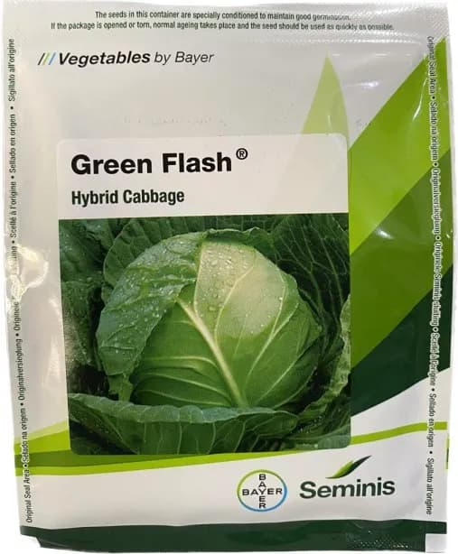Seminis Green Flash Hybrid Cabbage Seeds, Dark Green Color, Round Shape Fruit and Early Maturity - Image 2