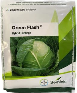 Seminis Green Flash Hybrid Cabbage Seeds, Dark Green Color, Round Shape Fruit and Early Maturity 2
