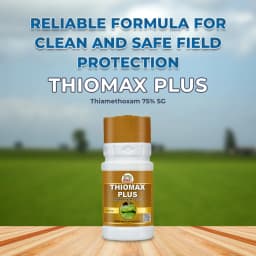 EBS THIOMAX SUPER Thiamethoxam 75% SG Broad Spectrum Insecticide, Systemic Action 2