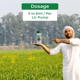 Accon+ Spray Performance Adjuvant For Pesticide, Bactericide, Virucide, and Fungicide Spray 5