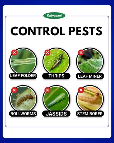Katyayani Chloda Chlorantraniliprole 9.3% + Lambda Cyhalothrin 4.6% ZC Insecticide, for Effective Pest Control for Crops - Image 3