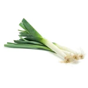 Urja American Flag Leek Seeds, Non-Bulb Forming Member of the Onion Family - Image 1