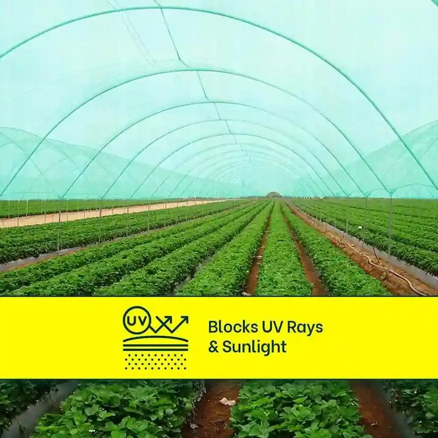 Mipatex Garden Shade Net 90% UV Stabilized Sun Protected Green House, Protect Flowers and Plants Green, Multi-Purpose Long Lasting Material - Image 9