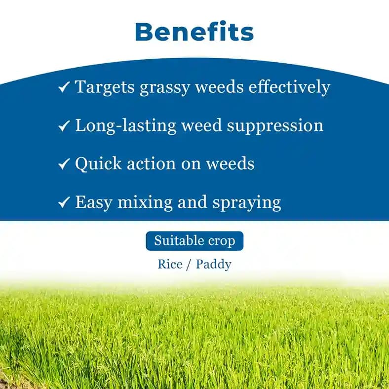 Bayer Ricestar Fenoxaprop-p-ethyl 6.9 EC, Selective Herbicide Post Emergent Herbicide. - Image 4