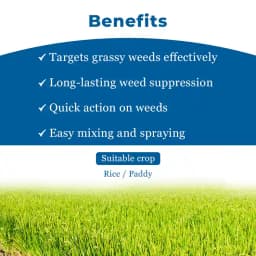 Bayer Ricestar Fenoxaprop-p-ethyl 6.9 EC, Selective Herbicide Post Emergent Herbicide. 4