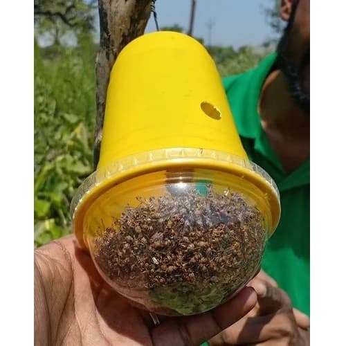 Green Revolution Yellow IPM Trap With Melon Fly Lure, Effective For Fly Control In Vegetable - Image 6