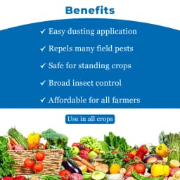 Multiplex Nagfen-D Fenvalerate 0.4% DP Insecticides, Highly Useful for Control of Termites in Agriculture 4