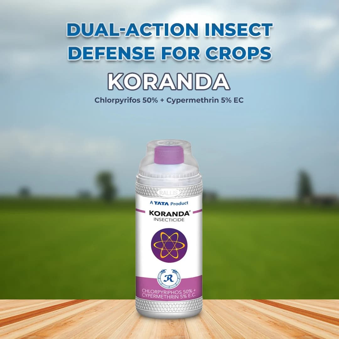 Tata Rallis Koranda Insecticide - Image 2