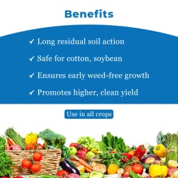 Dhanuka Dhanutop Super Pendimethalin 38.7% CS Herbicide, Selective Pre-Emergence, Effective For Weed Control 4