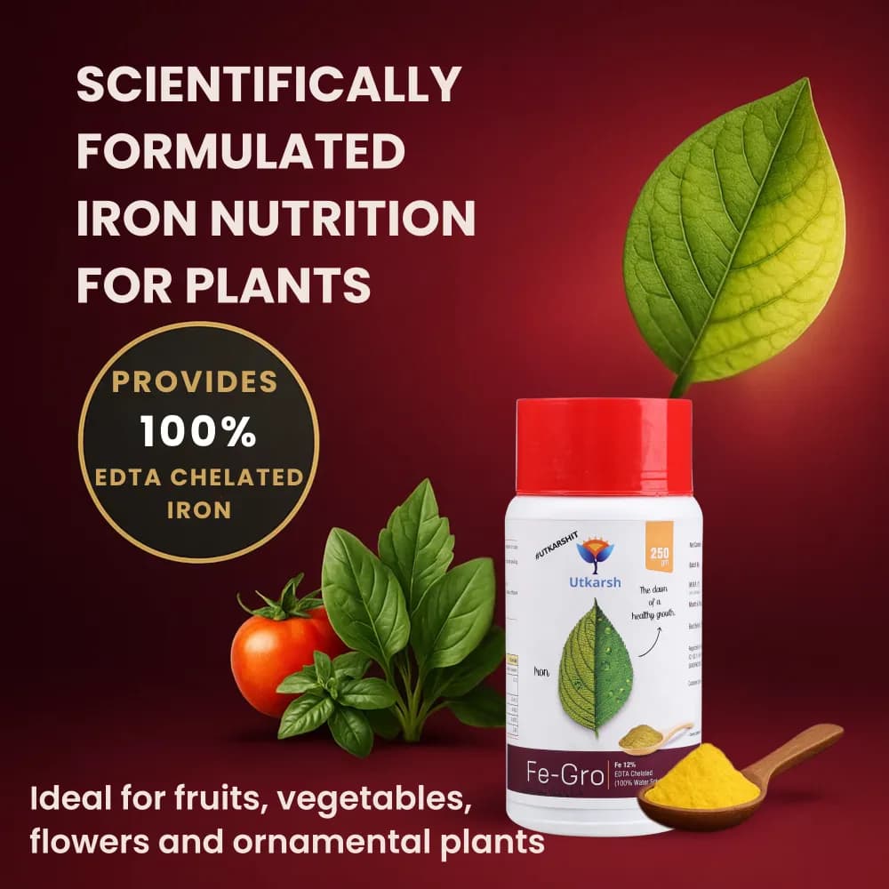 Utkarsh FeGro (Iron- Fe-12% EDTA Chelated) (100% Water Soluble Foliar Spray), Stimulates and Regulates Enzyme Reactions for the Growth - Image 2
