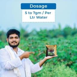 Aries Agro Combi Cal + Calcium Nitrate Fertilizer, 100% Water-Soluble, Efficient For Better Growth And Healthy Plants 5