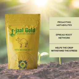 Biowall r-Jaal Gold VAM (Vesicular Arbuscular Mycorrhiza) Root Development and Nutrient 2