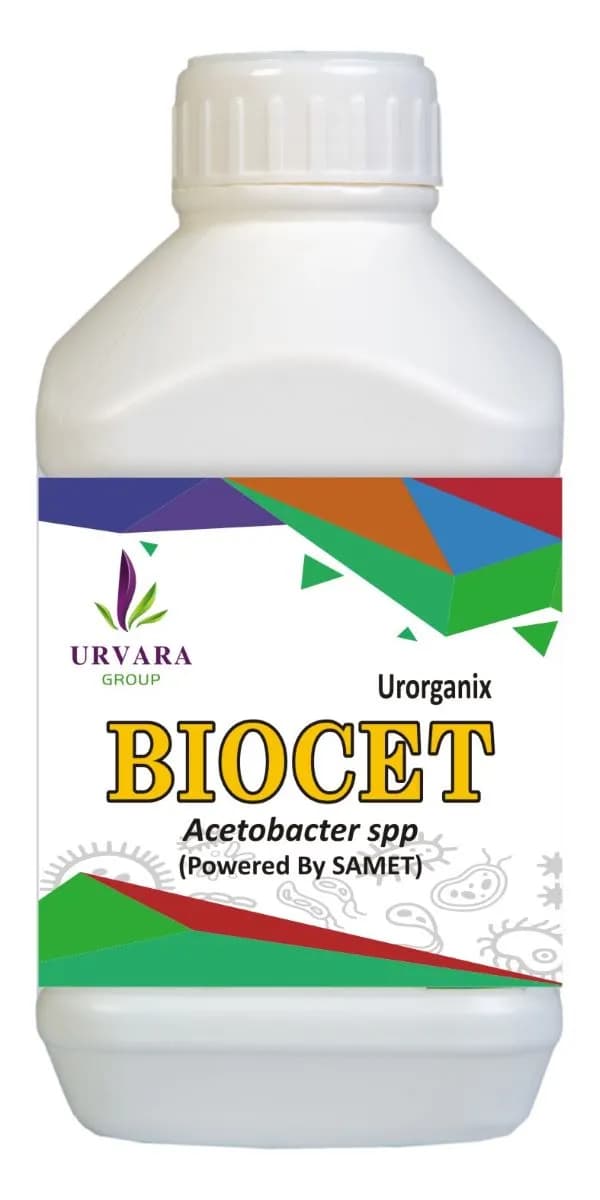 Biocet - Acetobacter Spp For Nitrogen Fixing Especially Useful In Sugarcane Plantations for Excellent Growth Stimulation and Soil Health - Image 2
