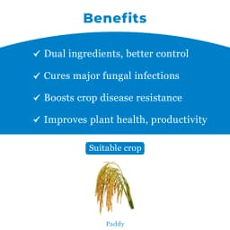 Adama Blasil Prochloraz 23.5% + Tricyclazole 20% SE Fungicide , Helps Rice Farmers to Control Leaf Blast Disease 4