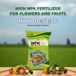 EBS NPK 00:52:34 Water Soluble Fertilizer, Mono Potassium Phosphate, Best For Drip Irrigation And Foliar Application 2