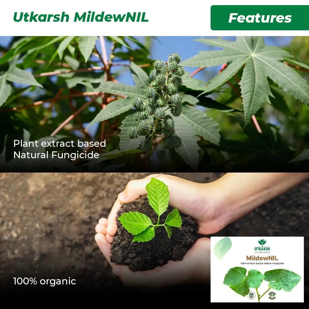 Utkarsh MildewNIL Plant Extract Based Natural Fungicide For Powdery And Downy Mildew - Image 4
