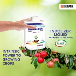 Indofil Indolizer Bioactive Nutrient, Boosts Plant Growth, Bio Stimulant Boost Plant Development 2