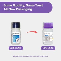 Bayer Premise Imidacloprid 30.5% SC Insecticide, Used For Pre-Construction And Post-Construction, Anti Termite Treatment 7