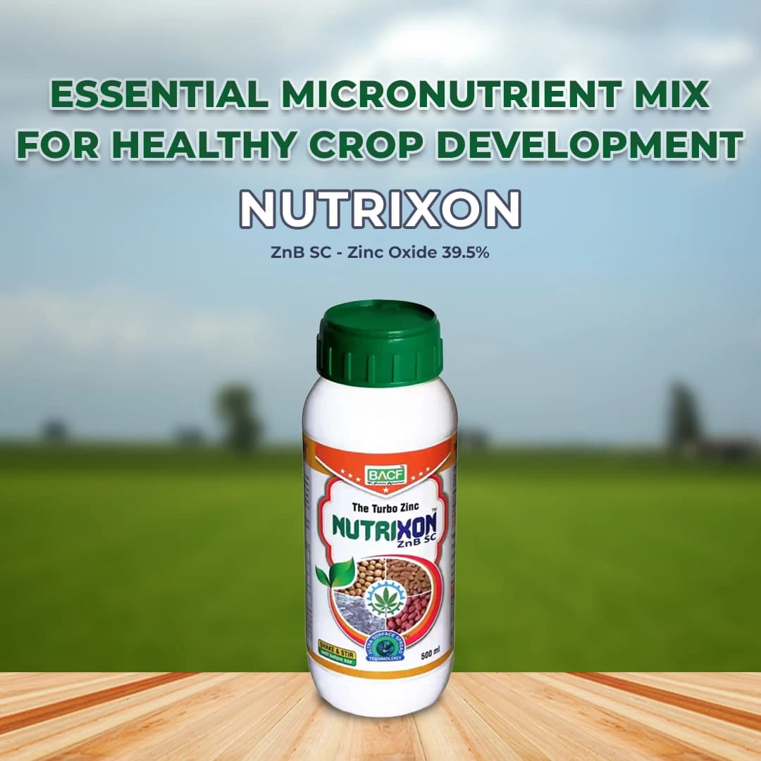 Bacf Nutrixon ZnB SC - Zinc Oxide 39.5% SC - Image 2