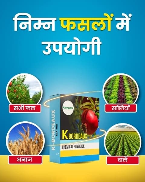 Katyayani K-Bordeaux Mixture Fungicide - Image 8