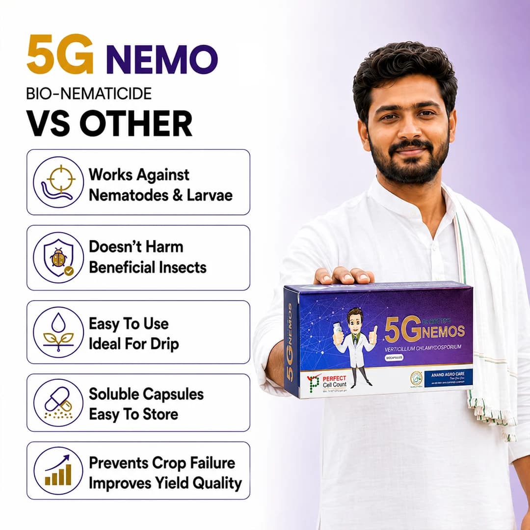 ಡಾ. ಬ್ಯಾಕ್ಟೋಸ್ 5G ನೆಮೋಸ್ ಬಯೋಕ್ಯಾಪ್ಸೂಲ್ಸ್, ಜೈವಿಕ ನೆಮಟಿಸೈಡ್, ನೆಮಟೋಡಾ ನಿಯಂತ್ರಣ ಸಾಮರ್ಥ್ಯವಿರುವ ವರ್ಟಿಸಿಲಿಯಮ್ ಕ್ಲಾಮಿಡೋಸ್ಪೋರಿಯಮ್ ಒಳಗೊಂಡಿದೆ. - Image 3