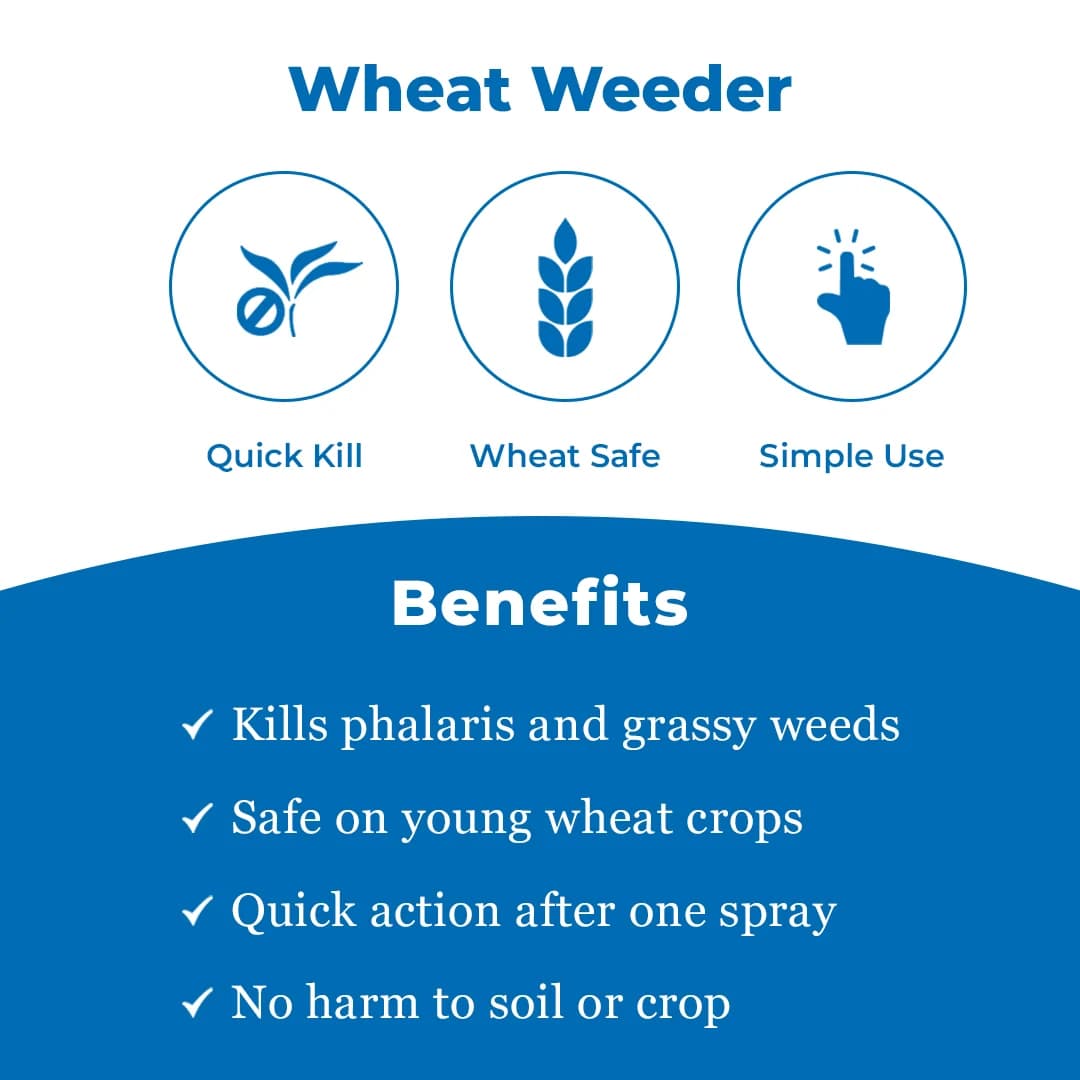 Bayer Lucifer Clodinafop Propargyl 15% WP, Post Emergence Herbicide For Control In Most Of The Important Grass Weeds In Wheat - Image 3