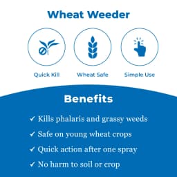 Bayer Lucifer Clodinafop Propargyl 15% WP, Post Emergence Herbicide For Control In Most Of The Important Grass Weeds In Wheat 3