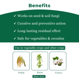 इंडोफिल अवतार हेगैक्सोनाजोल 4% + ज़िनेब 68% डब्ल्यूपी, एक अद्वितीय विस्तृत स्पेक्ट्रम कवकनाशी 4