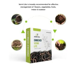 Green Era Enriched Vermi Lite, Organic Ready to Use Vermi Compost Fertilizer, Soil Manure For Plants 1