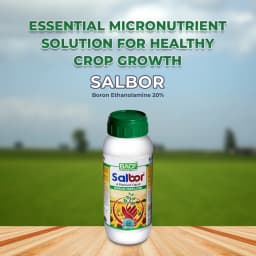 BACF Salbor Boron Ethanolamine, Liquid Boron 10% Foliar Fertilizer, Rich In Boron. 2