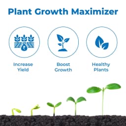 Agriventure Kasher Paclobutrazol 23% SC Plant Growth Regulator, Best For Mango 3