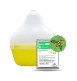 Gaiagen Pheromone Lure For Melon Fly (Bactrocera Cucurbitae) And Insect Fly Trap, IMO Certified. 3