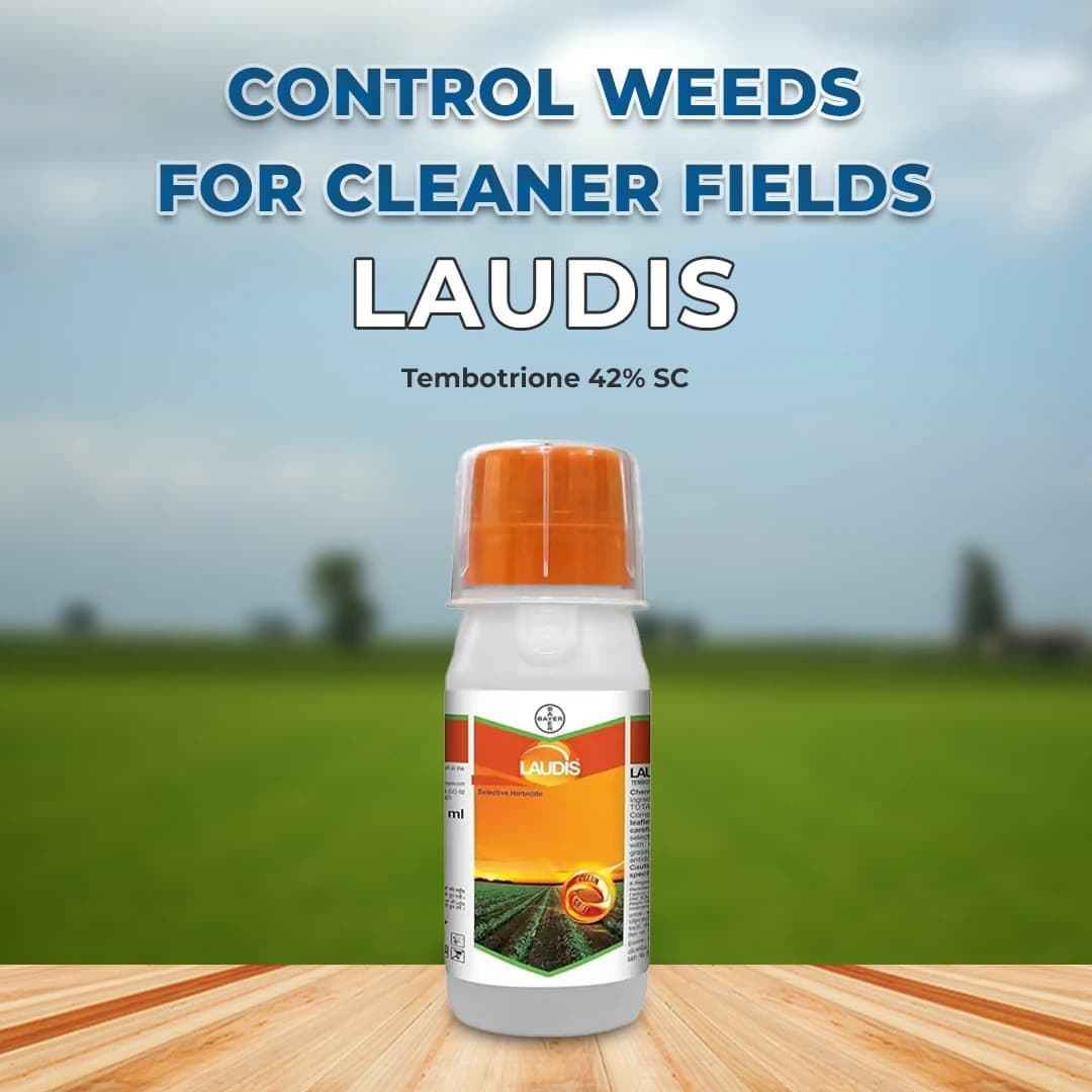 Bayer Laudis Herbicide - Image 2