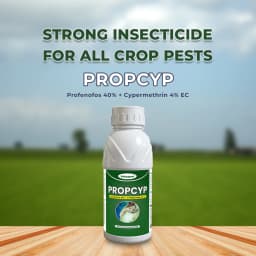 Katyayani Propcyp Profenofos 40% + Cypermethrin 4% EC Insecticide For Plants 2
