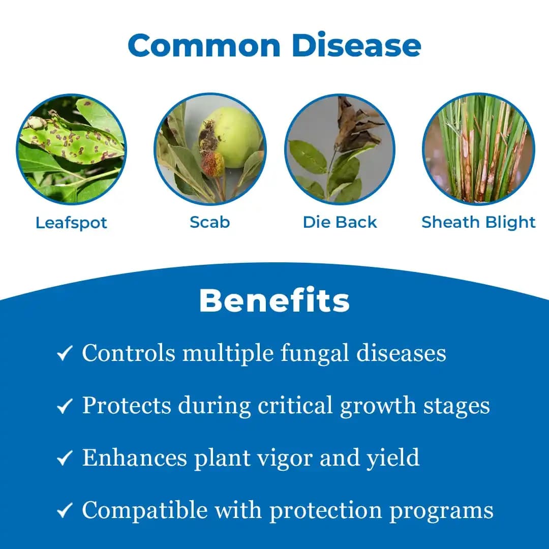 Katyayani Propineb 70% WP Contact Fungicide For Plants Use To Cure Scab Leaf Spot Early And Late Blight In Tomato Graps Pomegranate And Rice - Image 3