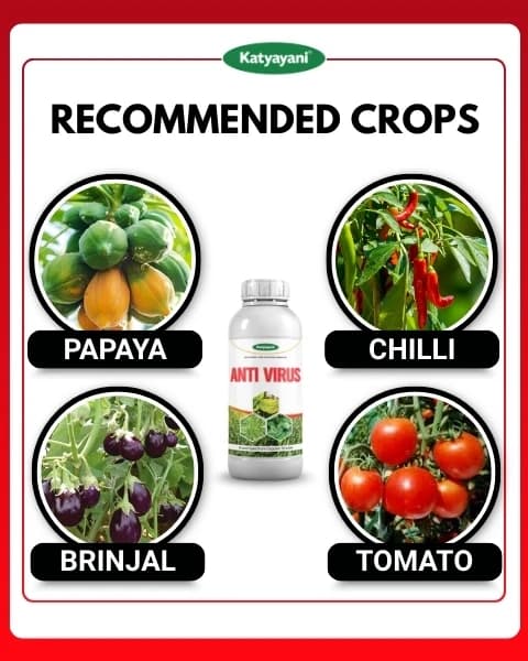 Katyayani Anti Virus Broad Spectrum Organic Virucide For All Viral Plant Diseases - Image 4