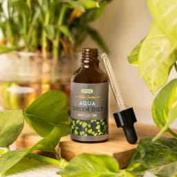 IFFCO Urban Garden Aqua Green Diet Liquid Fertilizer, For Water Plant Food, Boost Growth For Lucky Bamboo, Money Plant, Pothos, And More 3