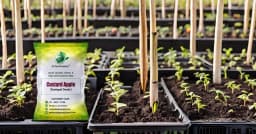 SRI SAI FORESTRY Custard Apple Seeds, Sitafal Ke Beej, Sugar Apple Seeds, Sweetsop Seeds, Annona squamosa Fruit Tree Seeds 8