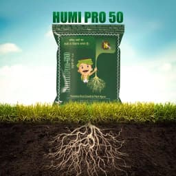 Hifield Organics Humi Pro 50 Granules, Promotes Root Growth and Plant Vigour. 3