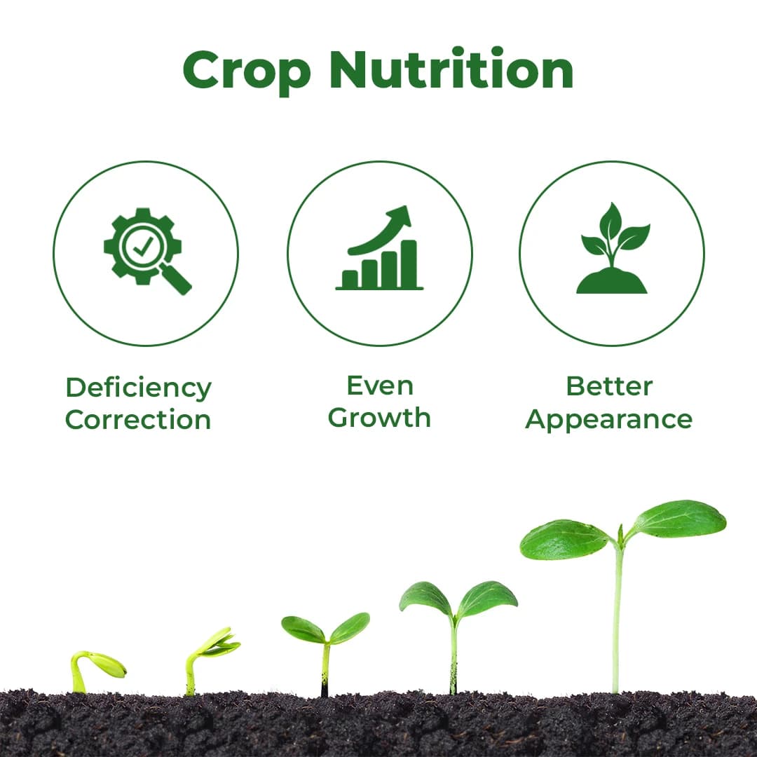 Multiplex Kranti Micro Nutrient Fertilizer, Contains Essential Plant Nutrients, Complete Plant Food - Image 3