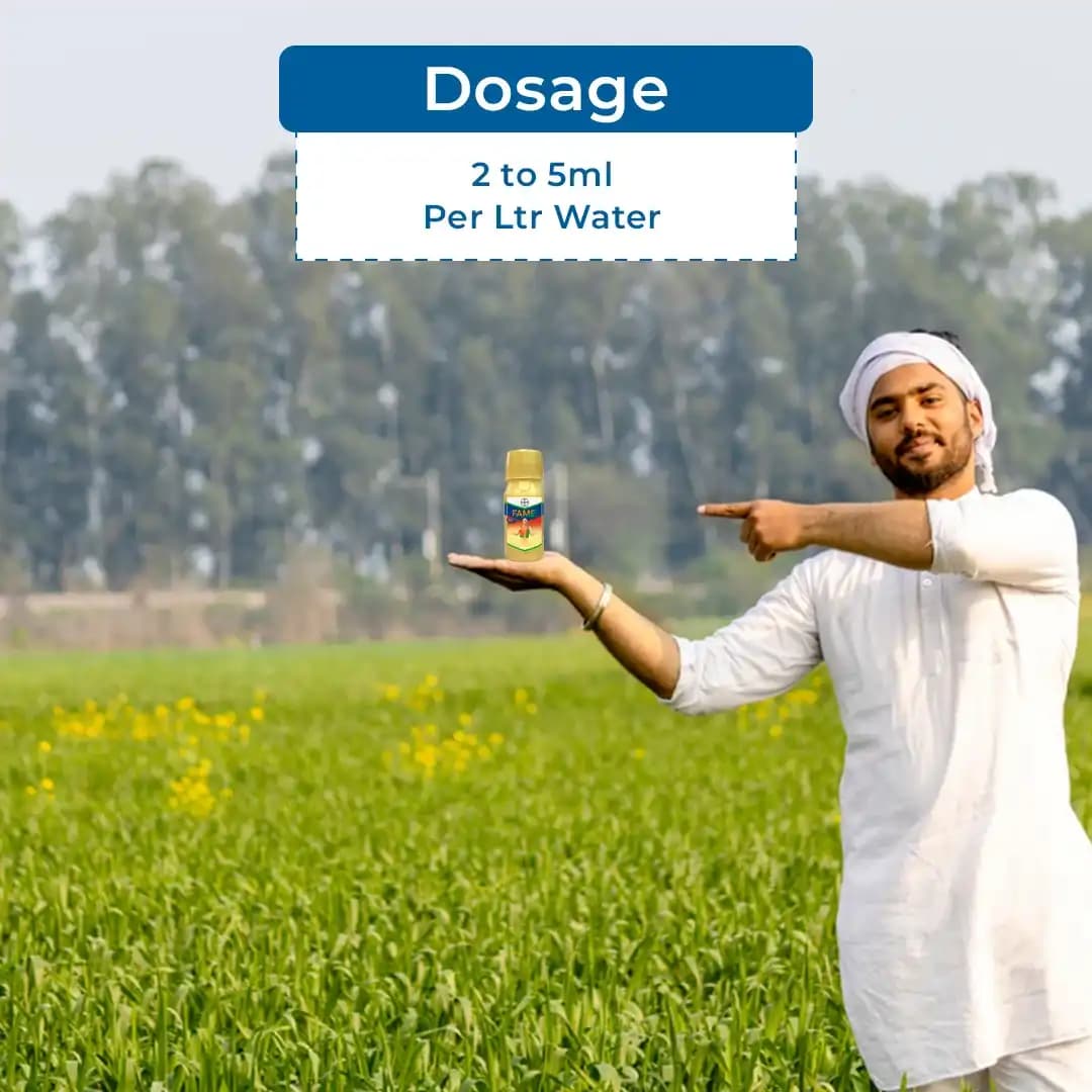 बायर फेम फ्लूबेंडियामाइड 480 एससी (39.35% डब्ल्यू/डब्ल्यू) कीटनाशक तंत्रिका तंत्र पर कार्य करता है, फ्लूबेंडियामाइड कीटों को बाधित करता है - Image 5