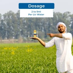 बायर फेम फ्लूबेंडियामाइड 480 एससी (39.35% डब्ल्यू/डब्ल्यू) कीटनाशक तंत्रिका तंत्र पर कार्य करता है, फ्लूबेंडियामाइड कीटों को बाधित करता है 5