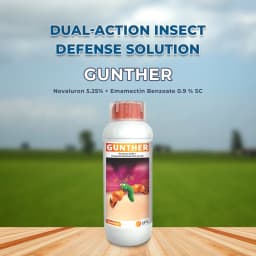 UPL Gunther Novaluron 5.25% + Emamectin Benzoate 0.9 % SC Insecticides, Best For Chilli. 2
