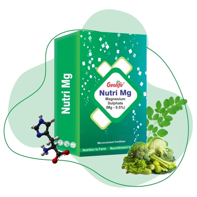 Geolife Nutri Mg 9.5% Fertilizer, Water Soluble For All Crops - Image 2