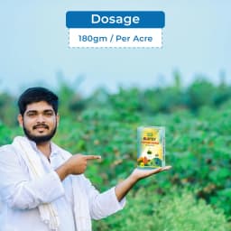 BACF Bustex Potash 2500 Plant Derived Potash (K20 25%), Increases Branching, Flowering and Fruits 5