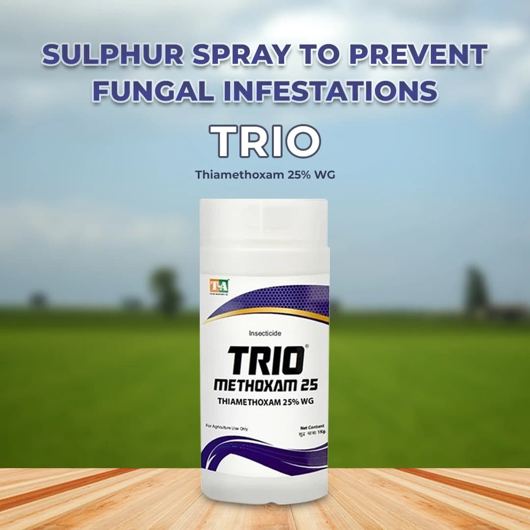 Trio Methoxm 25 Insecticide - Image 2