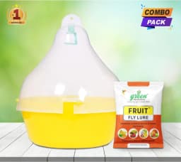 Maxplus Trap with Fruit Fly Lure (Bactrocera Correcta, Zonata, Dorsalisa Pheromone Lure) For Mango, Guava, Sapota, Citrus, Banana, and Papaya 9