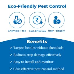 Pheromone Trap & Lure for RB (Rhinoceros Beetle) KOKO Activator Free, For Coconut, Date Palm, Oil Palm, Arecanut Palm. 3