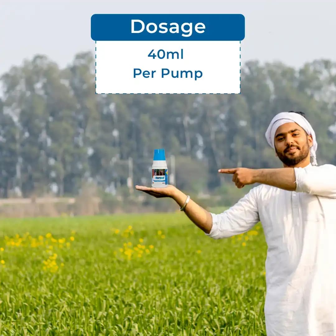 FMC Marshal Carbosulfan 25% EC. A Systemic, Broad-Spectrum Carbamate Insecticides. - Image 5