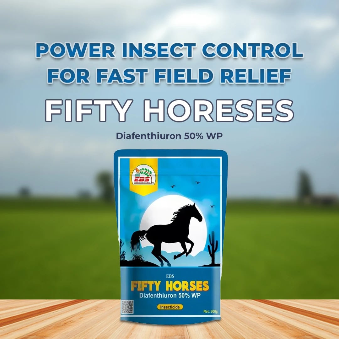 EBS Fifty Horeses Insecticide - Diafenthiuron 50% WP